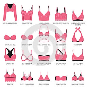 Types of bras. Big vector set of pink lingerie.