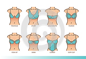 Types of bras. Kinds of bras. Women`s underwear illustration set