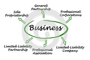 Types of business photo