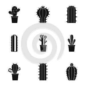 Types of cactus icon set, simple style
