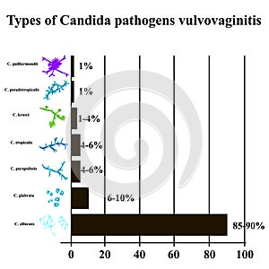 Types of Candida pathogens vulvovaginitis. Candida type morphological structure. Vector illustration on isolated photo