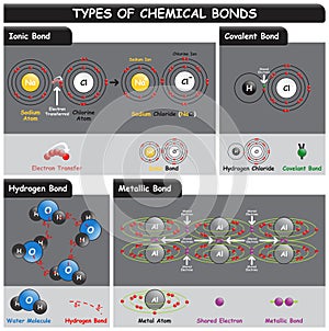 Types of Chemical Bonds Infographic Diagram