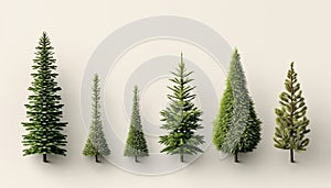 Types of Christmas Tree Mockup Closeup isolated. White background. Christmas Eve top view flat lay. Winter traditional holidays.