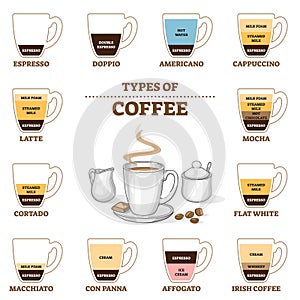 Types of coffee and cafe preparation and proportion guide outline diagram