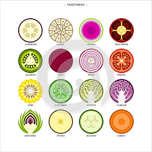 Types of different cut vegetables Illustrations