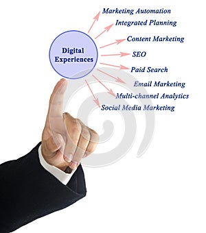 Types of Digital Experiences