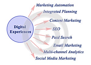 Types of Digital Experiences
