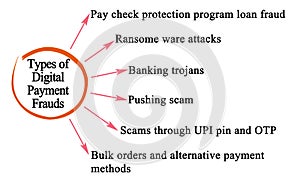 Types of Digital Payment Frauds