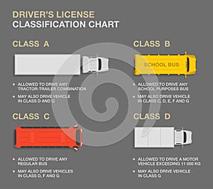 Types of driving licences and descriptions. Driver`s license classification chart infographic. Heavy vehicles.