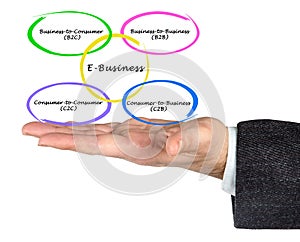 Types of E-Business