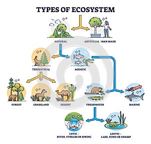 Types of ecosystem with natural and artificial division outline diagram photo