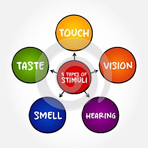 The 5 types of external stimuli - divided into our senses: touch, vision, smell and taste, mind map concept for presentations and photo