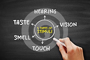 The 5 types of external stimuli - divided into our senses: touch, vision, smell and taste, mind map concept for presentations and photo