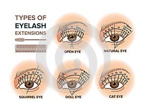 Types of eyelash extensions illustration