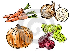 Types of fresh vegetables