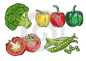 Types of fresh vegetables