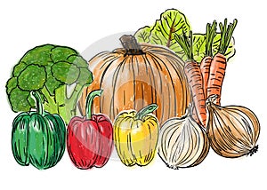 Types of fresh vegetables still life