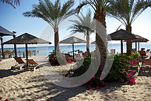 Types of Fujairah resorts.