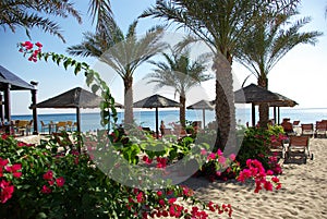 Types of Fujairah resorts. photo