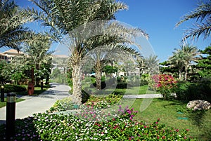 Types of Fujairah resorts. photo