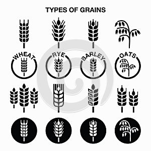 Types of grains, cereals icons - wheat, rye, barley, oats