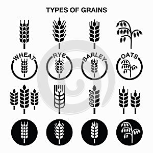 Types of grains, cereals icons - wheat, rye, barley, oats photo
