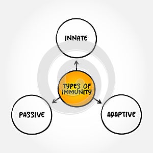 Types of immunity mind map text concept for presentations and reports
