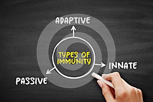 Types of immunity mind map text concept for presentations and reports