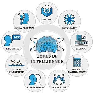 Types of intelligence outline symbols diagram photo