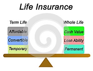 Types of Life Insurance