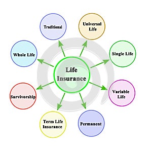 types of life insurance