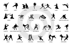 Types of Martial Arts Silhouettes
