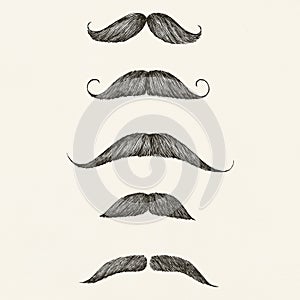 Types of moustache vintage style illustration