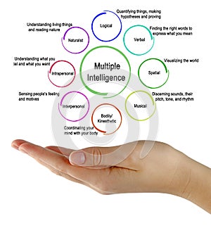 Types of Multiple Intelligence