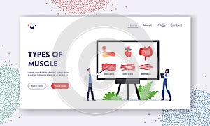 Types of Muscles Landing Page Template. Tiny Doctors Characters at Huge Board with Infographics Presenting Muscles