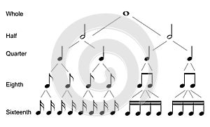 Types of musical notes