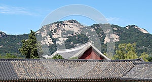 Types of the palace Gyeongbokgung. Seoul, Republic of Korea.