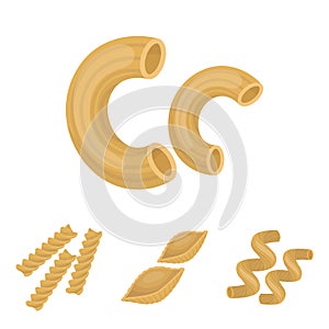 Types of pasta set collection icons in cartoon style vector symbol stock illustration web.