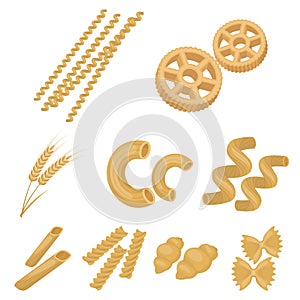 Types of pasta set icons in cartoon style. Big collection of types of pasta vector symbol stock illustration