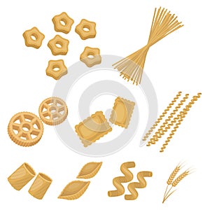 Types of pasta set icons in cartoon style. Big collection of types of pasta vector symbol stock illustration