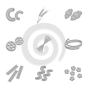 Types of pasta set icons in monochrome style. Big collection of types of pasta vector symbol stock illustration