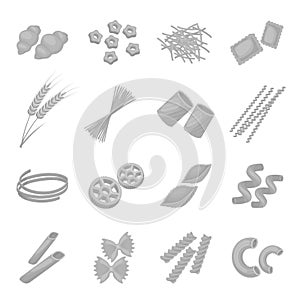 Types of pasta set icons in monochrome style. Big collection of types of pasta vector symbol stock illustration