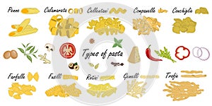 Types of pasta. Short pasta difference.