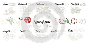 Types of pasta. Short pasta difference, illustration example with ingredients.