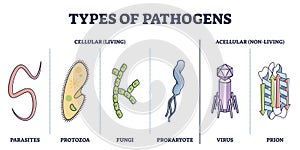 Types of pathogens, cellular, and non living virus organisms outline diagram
