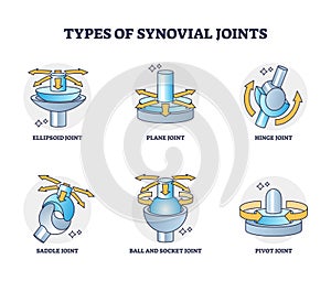 Types of synovial joints movement classification for body outline diagram