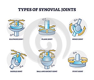 Types of synovial joints movement classification for body outline diagram photo