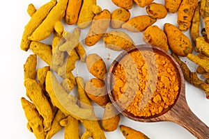 Types of turmeric barks