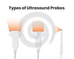 Types of ultrasound tranducers: convex, linear and encocavitary probes photo