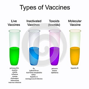 Types of vaccinations. Vaccinations against diseases. Vector illustration
